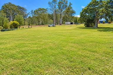 Residential Block For Sale - NSW - Drake - 2469 - UNDER OFFER  (Image 2)