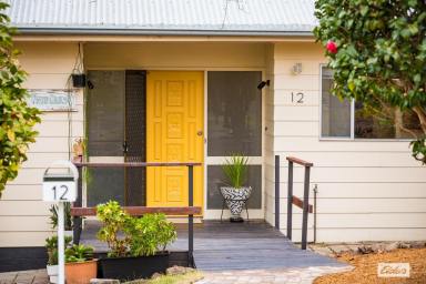 House For Sale - NSW - Bega - 2550 - Classic Charm, Beautifully Renovated  (Image 2)