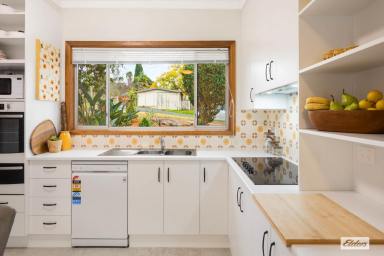 House For Sale - NSW - Bega - 2550 - CLASSIC CHARM, BEAUTIFULLY RENOVATED (Image 2)