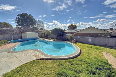 House For Lease - NSW - Dubbo - 2830 - Family Home with Pool  (Image 2)