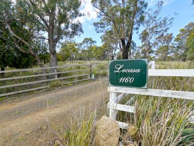 House For Sale - TAS - Broadmarsh - 7030 - Lifestyle Acreage with Established Boarding Kennel Business Potential (Image 2)