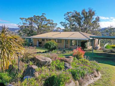 House For Sale - TAS - Broadmarsh - 7030 - Lifestyle Acreage with Established Boarding Kennel Business Potential (Image 2)