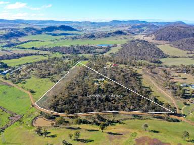 House For Sale - TAS - Broadmarsh - 7030 - Lifestyle Acreage with Established Boarding Kennel Business Potential (Image 2)