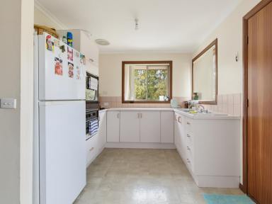 House For Sale - NSW - Catalina - 2536 - Solid Brick Home with Nature Reserve Outlook (Image 2)
