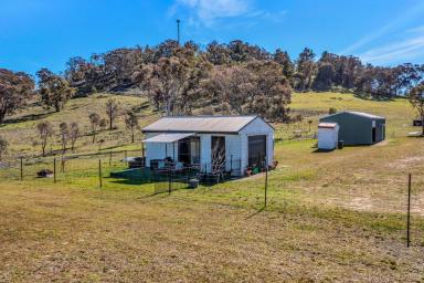 Lifestyle For Sale - NSW - Mudgee - 2850 - 25 ACRES OF SERENITY, YOUR FOREVER HOME AWAITS  (Image 2)