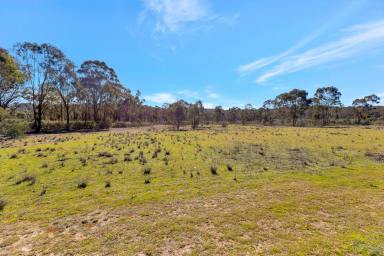 Lifestyle For Sale - NSW - Mudgee - 2850 - COUNTRY LIVING WITH WATER, SPACE AND PRIVACY  (Image 2)