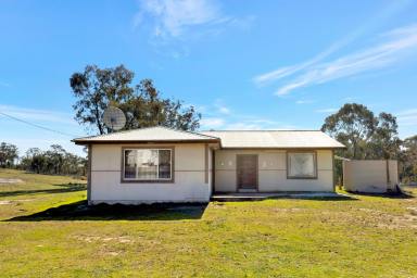 Lifestyle For Sale - NSW - Mudgee - 2850 - COUNTRY LIVING WITH WATER, SPACE AND PRIVACY  (Image 2)
