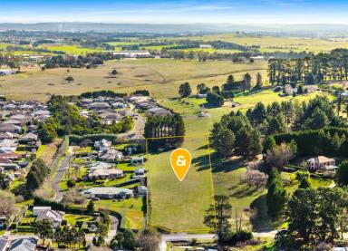 Residential Block Auction - NSW - Moss Vale - 2577 - 3 Stunning Acres with Rural Views & DA Approval for Substantial Home  (Image 2)