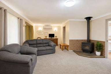 House For Sale - NSW - Mudgee - 2850 - SPACE, VERSATILITY AND INVESTMENT APPEAL (Image 2)
