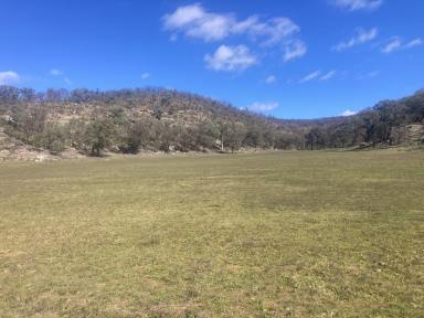 Mixed Farming For Sale - NSW - Gungal - 2333 - 'Seven Oaks' – Productive Creek Flats & Grazing Country  (Image 2)