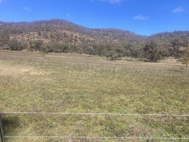 Mixed Farming For Sale - NSW - Gungal - 2333 - 'Seven Oaks' – Productive Creek Flats & Grazing Country  (Image 2)