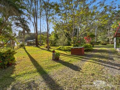 House For Sale - QLD - Speewah - 4881 - Unique Tropical Paradise with Pool & Artisan Character  (Image 2)