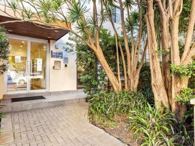 Office(s) For Sale - NSW - Redfern - 2016 - Street access office in the heart of Redfern  (Image 2)