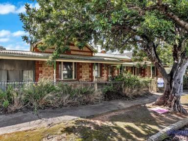 House For Sale - SA - Palmer - 5237 - Historic Opportunity: First Time Offered in 85 Years!  2 titles. Significant renovation required. Unleash your vision  (Image 2)