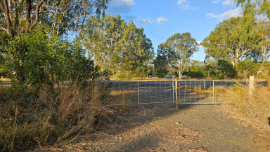 Residential Block For Sale - QLD - Booyal - 4671 - Private Rural Holding with Bore, Power and Heavy-Duty Hardstand - Off Bruce Highway  (Image 2)