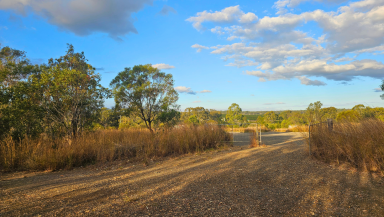 Residential Block For Sale - QLD - Booyal - 4671 - Private Rural Holding with Bore, Power and Heavy-Duty Hardstand - Off Bruce Highway  (Image 2)