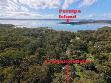 Residential Block For Sale - QLD - Macleay Island - 4184 - Dream Big on this Large Block  (Image 2)