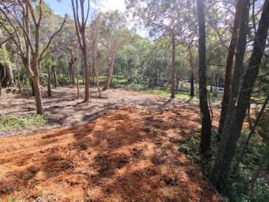 Residential Block For Sale - QLD - Macleay Island - 4184 - Dream Big on this Large Block  (Image 2)