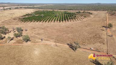 Other (Rural) For Sale - QLD - Georgetown - 4871 - Blanncourt Station  (Image 2)