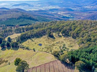 Residential Block For Sale - TAS - Mount Lloyd - 7140 - Escape to the Country - 25 Acres of Rural Paradise  (Image 2)
