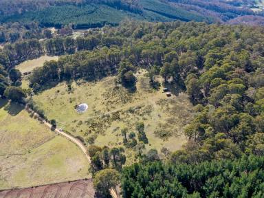 Residential Block For Sale - TAS - Mount Lloyd - 7140 - Escape to the Country - 25 Acres of Rural Paradise  (Image 2)