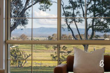 Lifestyle Sold - NSW - Singleton - 2330 - Elevated Views | Premium Lifestyle | Town Convenience  (Image 2)