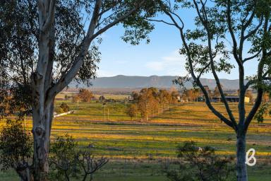 Lifestyle For Sale - NSW - Singleton - 2330 - Elevated Views | Premium Lifestyle | Town Convenience (Image 2)