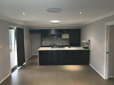 House For Lease - NSW - Tamworth - 2340 - LIFESTYLE AWAITS MODERN FOUR BEDROOM HOME  (Image 2)