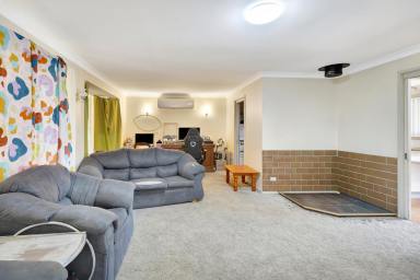 House For Sale - NSW - Mudgee - 2850 - SPACE, VERSATILITY AND INVESTMENT APPEAL  (Image 2)