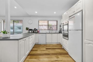 House For Sale - NSW - Raymond Terrace - 2324 - ELEVATED FAMILY HOME WITH SPACE, VIEWS & POTENTIAL!  (Image 2)
