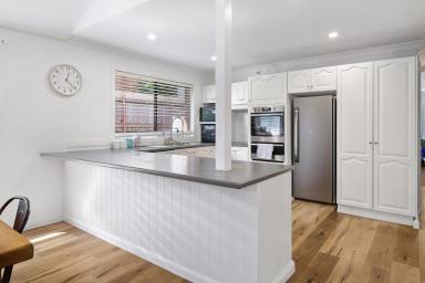 House For Sale - NSW - Raymond Terrace - 2324 - ELEVATED FAMILY HOME WITH SPACE, VIEWS & POTENTIAL!  (Image 2)