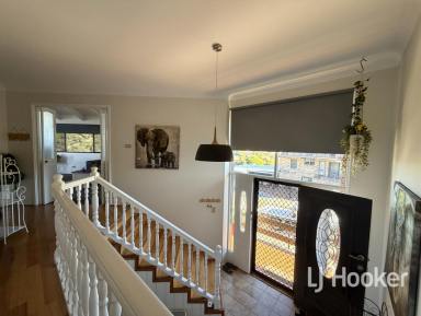 House For Sale - NSW - Inverell - 2360 - Extra Large Family Home With Views  (Image 2)