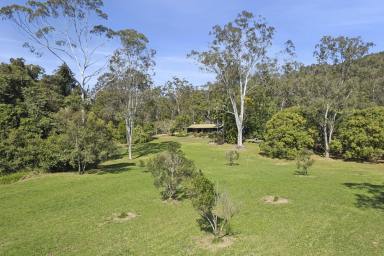 House For Sale - QLD - Kin Kin - 4571 - A True Country Escape Surrounded by Nature  (Image 2)