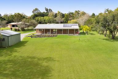 House For Sale - QLD - Cooroy - 4563 - Space, Potential and a Prime Cooroy Location (Image 2)