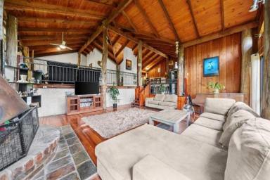 Acreage/Semi-rural For Sale - QLD - Austinville - 4213 - 66 Acre Freehold with 3 Dwellings  (Image 2)