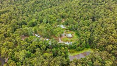 Other (Commercial) For Sale - QLD - Austinville - 4213 - 66 Acre Freehold Tourism Opportunity  (Image 2)