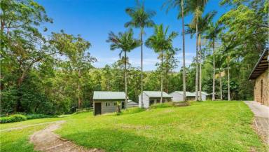 Other (Commercial) For Sale - QLD - Austinville - 4213 - 66 Acre Freehold Tourism Opportunity  (Image 2)