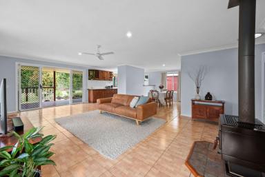 House For Sale - QLD - Cooroy - 4563 - Big Block, Powered Shed and Mount Cooroy Views (Image 2)