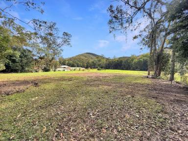 Residential Block For Sale - QLD - Carrington - 4883 - Don’t let this one get away!  (Image 2)