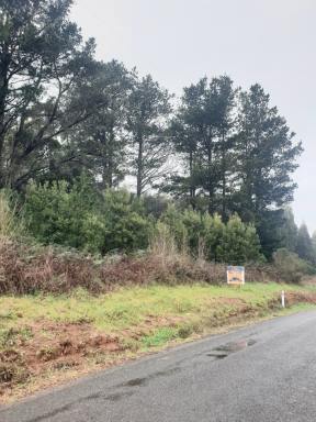 Residential Block For Sale - TAS - Beulah - 7306 - Quiet Country Living on 2,023m² (Image 2)