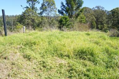 Mixed Farming For Sale - NSW - Homeleigh - 2474 - HIDDEN VALLEY  (Image 2)
