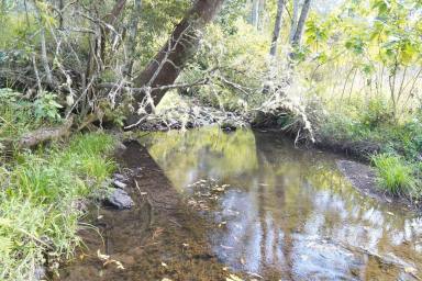 Mixed Farming For Sale - NSW - Homeleigh - 2474 - HIDDEN VALLEY  (Image 2)