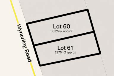 Land/Development For Sale - SA - Keith - 5267 - 3,000sqm Commercial Land - What could you do? (Image 2)