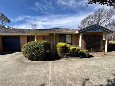Villa For Lease - NSW - Cooma - 2630 - 1/211 Sharp Street, Cooma  (Image 2)