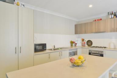 House For Lease - NSW - Tamworth - 2340 - Modern Westdale Family Home  (Image 2)