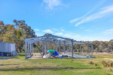 Lifestyle For Sale - NSW - Mudgee - 2850 - 450 ACRES OF ENDLESS POSSIBILITIES  (Image 2)