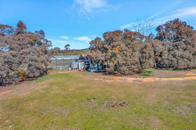 Lifestyle For Sale - NSW - Mudgee - 2850 - 450 ACRES OF ENDLESS POSSIBILITIES  (Image 2)