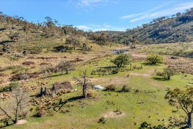 Lifestyle For Sale - NSW - Mudgee - 2850 - "LITTLE BRAEBURN" – A RURAL ESCAPE OF IMPRESSIVE SCALE (Image 2)