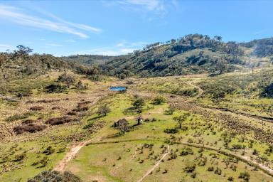 Lifestyle For Sale - NSW - Mudgee - 2850 - "LITTLE BRAEBURN" – A RURAL ESCAPE OF IMPRESSIVE SCALE (Image 2)