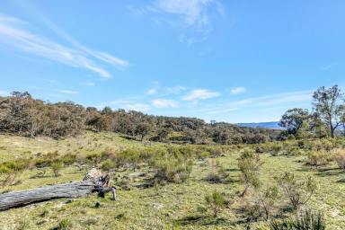 Lifestyle For Sale - NSW - Mudgee - 2850 - "LITTLE BRAEBURN" – A RURAL ESCAPE OF IMPRESSIVE SCALE  (Image 2)